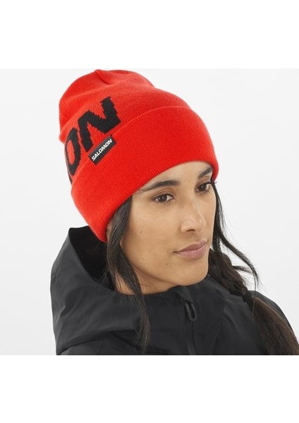 Hermitage Beanie Unisex Bere