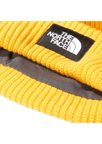 Salty Lined Beanie Unisex Bere