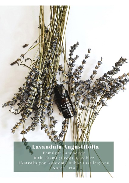 Lavanta Uçucu Yağı 10 ml %100 Saf Ve Doğal - Lavender Essential Oil fiyatları