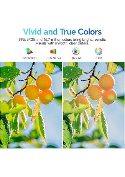 E2212F 22 Inç Monitör Full Hd, 100 Hz, 5ms, Göz Konforu, Srgb%99 Farbumfangs, (1920 x 1080, Hdmı, Vga, Neigbar, Vesa 75X75) fırsatları