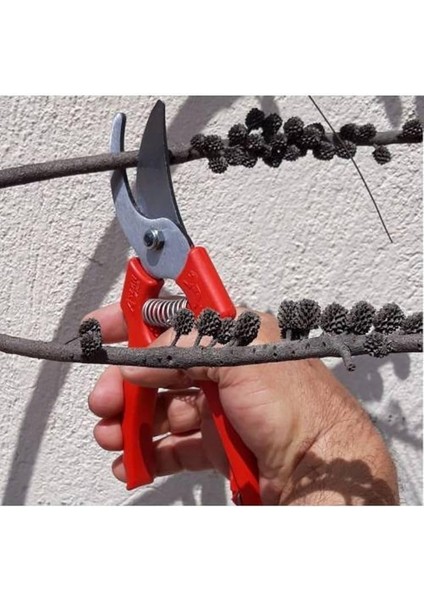 Bahçe Bağ Budama Makası Ağaç Dal Kesme Testeresi Ot Orak Tırpan Bileme Taşı modelleri