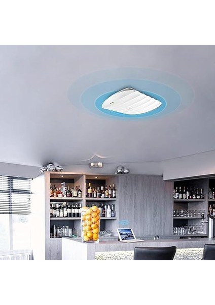 EAP115, 300MBPS Kablosuz N Tavan Tipi Access Point indirimleri