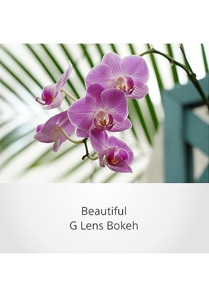 SELP18105G E Pz 18-105 mm F / 4.0 G Powerzoom Objektif (Sony Eurasia Garantili) indirimleri