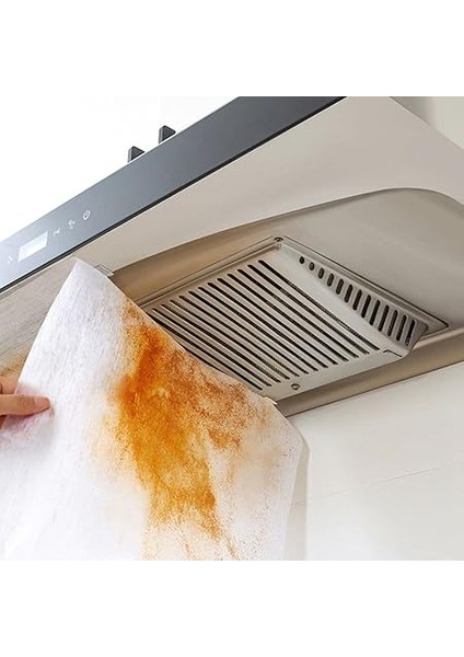 2 Adet Yağ Emici Duman Önleyici Pratik Mutfak Davlumbaz Koruyucu Dayanıklı Yedek Filtre 45X90 cm fırsatları