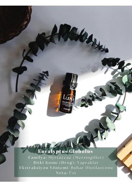 Okaliptus Uçucu Yağı 10 ml %100 Saf Ve Doğal - Eucalyptus Essential Oil fiyatları