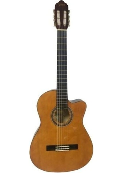 Elektro Klasik Gitar