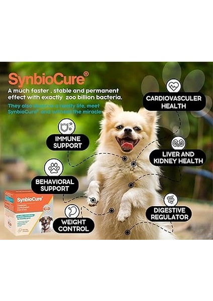 Canine Probiyotik Prebiyotik 2gr x 30 Şase fiyatları