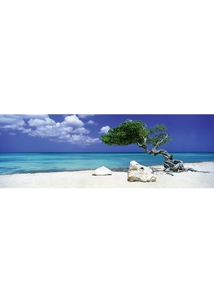 Puzzle 1000 Parça Divi Divi Tree HEY29399 fırsatları