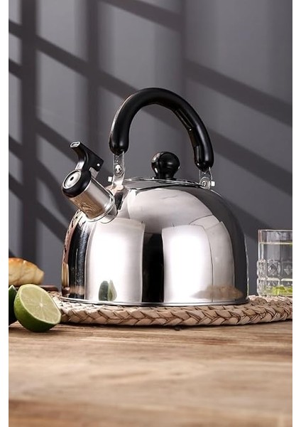 Çelik 3000 ml Düdüklü Çaydanlık Su Isıtıcısı CIN727 fırsatları