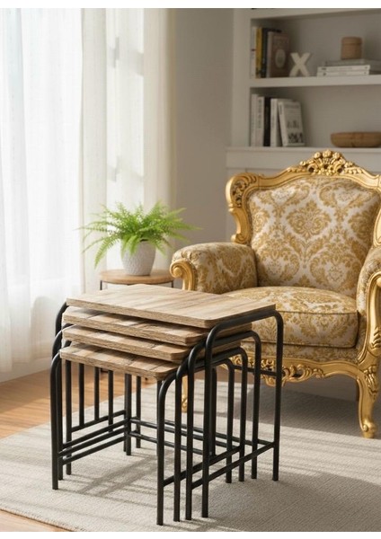 Homebella 4'lü Zigon Sehpa Valencia Metal Statik Siyah Ayaklı Üreticiden indirimleri