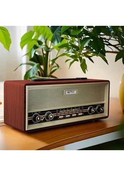 Midi Boy Retro Radyo Bluetooth Destekli Taşınabilir Radyo - Fm/am/sw Frekans, Usb/tf Kart Girişli, 2X8W Hoparlör, Şarjlı ve Kablolu Kullanım 35CM x 14CM PX-630BT (PX-630BT - Kahverengi) fırsatları