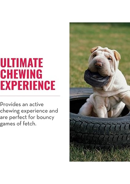 Köpek Extreme Kauçuk Oyuncak Lastik S 9cm modelleri