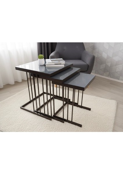 Todekhome Velora 3lü Zigon Sehpa fiyatları