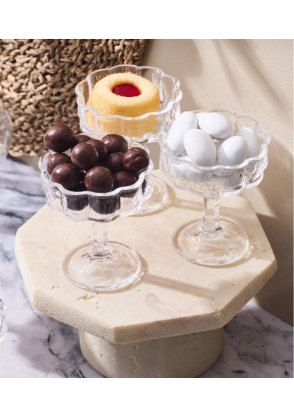 6 Adet Sunum Kasesi modelleri