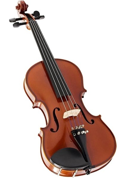 V5SA Keman (4/4) fiyatları