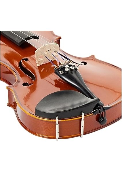 V5SA Keman (4/4) modelleri