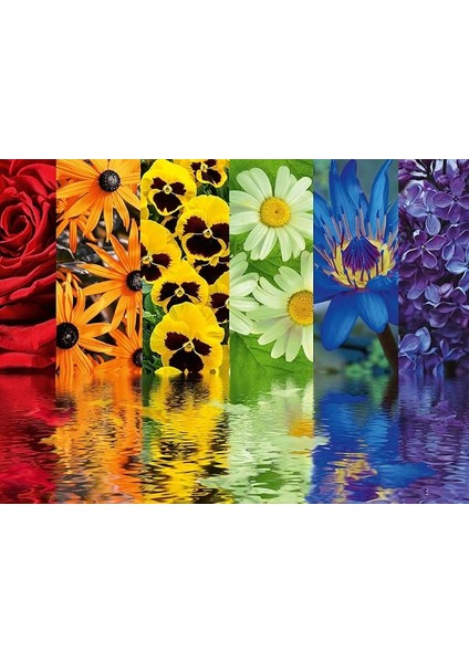 164462 500 Parça Puzzle Çiçek Yansıma, Çok Renkli