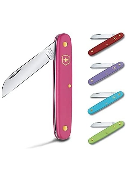 Aşı Çakısı fırsatları