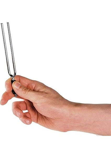 Waves Pwtf-A Guitar Tuners Tuning Fork Frequenz A440Hz Verchromter Stahl fiyatları