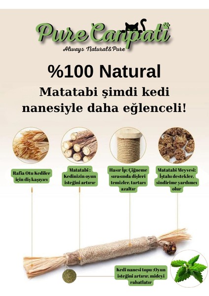 Kedi Naneli Matatabi Çubuğu– Kediler Için Doğal Oyun ve Mutluluk 🌿🐾 1 Adet