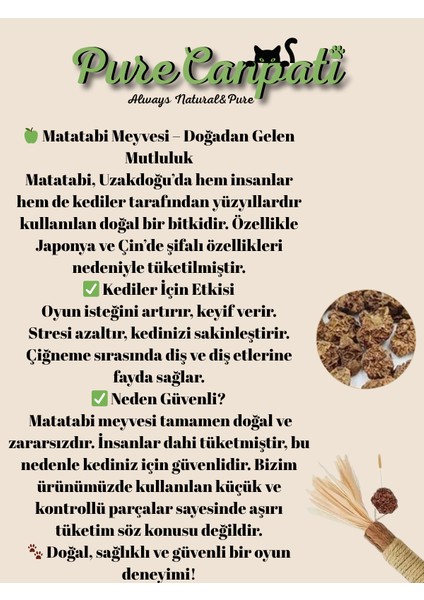 Kedi Naneli Matatabi Çubuğu– Kediler Için Doğal Oyun ve Mutluluk 🌿🐾 1 Adet modelleri