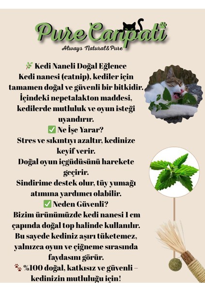 Kedi Naneli Matatabi Çubuğu– Kediler Için Doğal Oyun ve Mutluluk 🌿🐾 1 Adet fırsatları