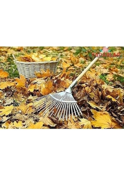 Tırmığı Ayarlı Yaparlar Metal Tırmık +Sapı modelleri