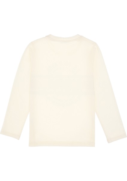 Erkek Çocuk Sweatshirt 50316535-VR256 modelleri