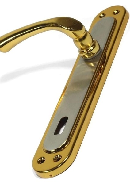 Çelikel Kapı Kolu Saten Albifirin Oda Kapı Kolu Altın Renkli 1410