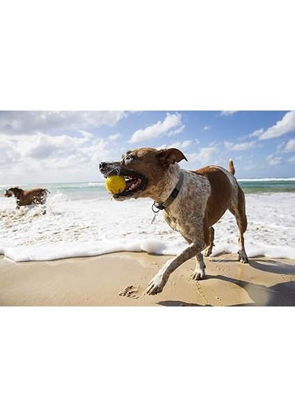 Fetch Suda Zıplayan Top Köpek Oyuncağı|dayanıklı ve Yumuşak Yapı|su Üzerinde Zıplayan Top fiyatları