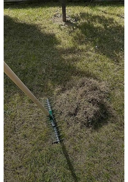 4232 Çim Kök Havalandırma Tırmığı Vertikat fiyatları