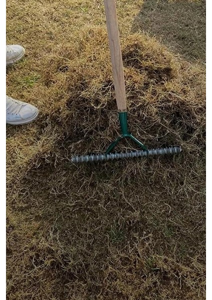 4232 Çim Kök Havalandırma Tırmığı Vertikat modelleri