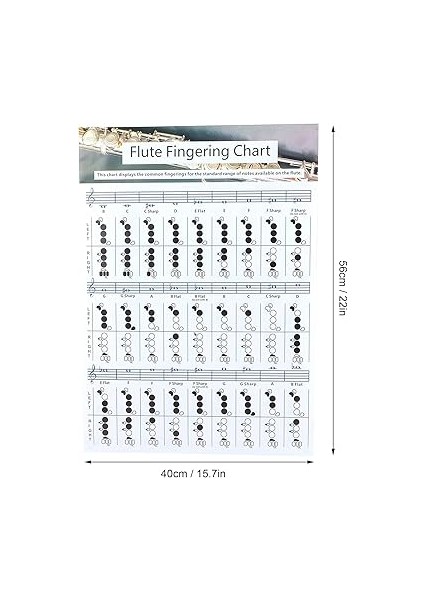 Flüt Akor Tablosu, Taşınabilir Flüt Parmak Çalma Akor Tablosu Kaplamalı Kağıt Flüt Parmak Çalma Alıştırma Tablosu Acemi Öğrenci Uygulama Öğretim (Büyük Flüt Çalma Tablosu fırsatları