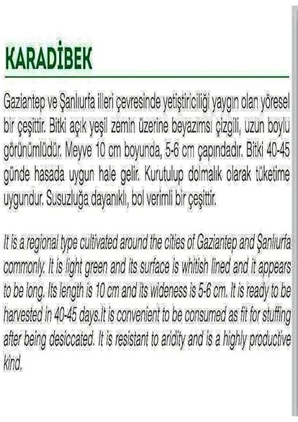 Tarım Ata Tohumu Yerli Acur Karadibek 100 Adet Tohum fiyatları