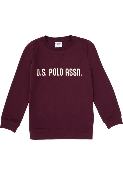 Erkek Çocuk Plum Sweatshirt 50314939-VR177