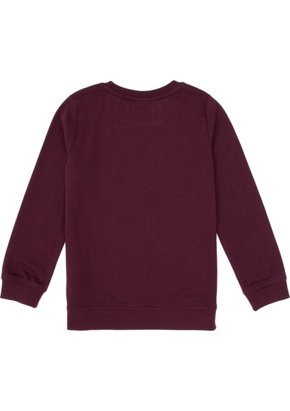 Erkek Çocuk Plum Sweatshirt 50314939-VR177 fiyatları