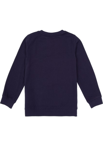 Erkek Çocuk Mürdüm Sweatshirt 50314939-VR074 fiyatları