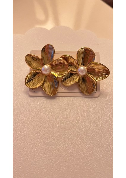 Çelik Küpe fiyatları