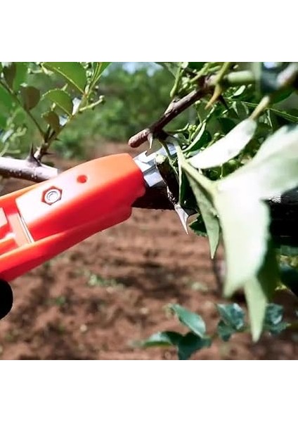 Lua Çok Fonksiyonlu Bahçe Budama Makası, Budama, Toplama, Hafif ve Kullanışlı, Tarım ve Bahçe, Pratik Kullanım fiyatları