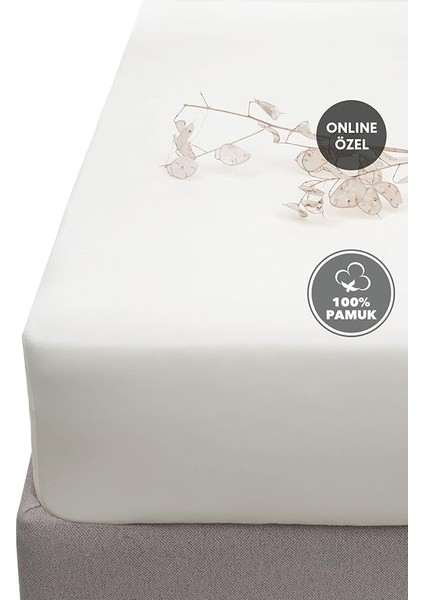 Softy Tek KIŞILIK%100 Pamuk Lastikli Penye Çarşaf - Krem