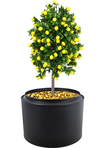 Saksı Büyük Bitki Ağaç Saksısı Büyük Boy Saksı Fırınlanmış Statik Boyalı Boy 46 cm Çap 60 cm