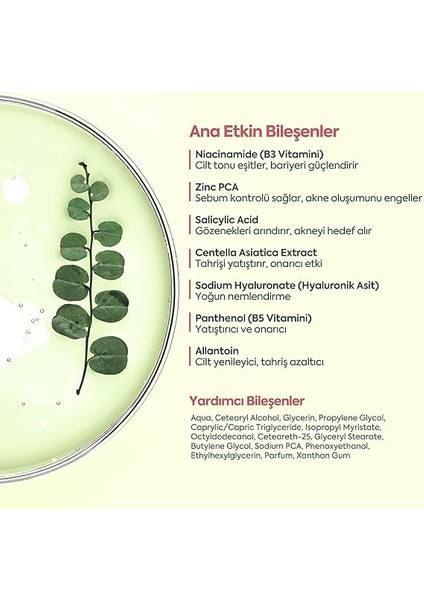 Akne Kremi Yüz Için – Sivilce ve Akne Karşıtı Leke Kremi – Salisilik Asit &amp; Niasinamid ile Leke Giderici – Genç ve Yetişkin Cilt Bakımı, 40 ml fırsatları