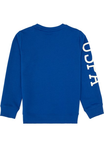 Erkek Çocuk Mavi Sweatshirt 50313831-VR212 fiyatları