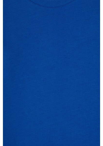 Erkek Çocuk Mavi Sweatshirt 50313831-VR212 fırsatları