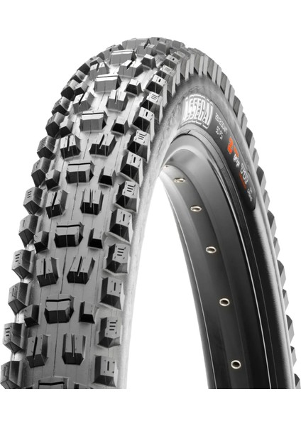 Maxxıs Assegaı 29X2.50WT 3cg,exo+,tr Katlanır Dış Lastik