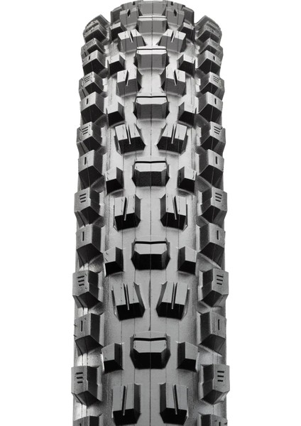 Maxxıs Assegaı 29X2.50WT 3cg,exo+,tr Katlanır Dış Lastik fiyatları