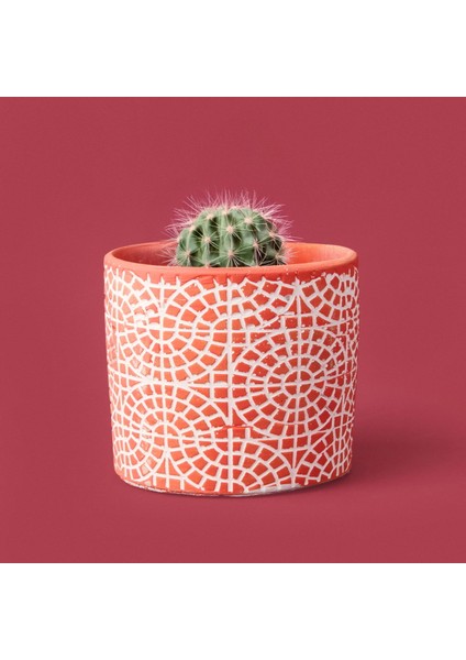 Mozaik Desen Beton Saksı - Turuncu - 10X13 cm fiyatları