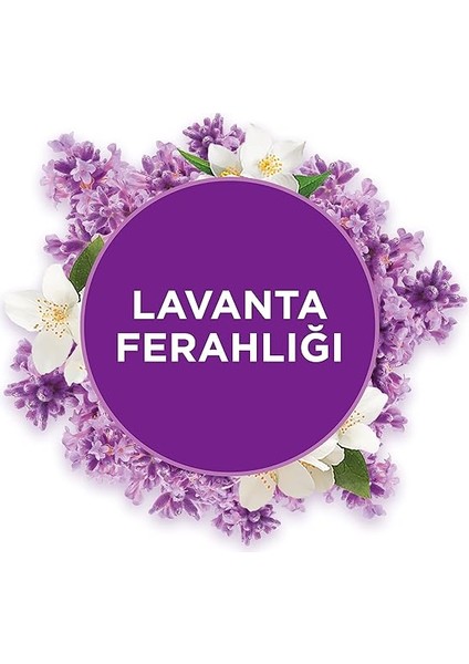 Banyo Lavanta Ferahlığı Hava Tazeleyici 10 ml &amp; Otomatik Sprey Cihazı fiyatları