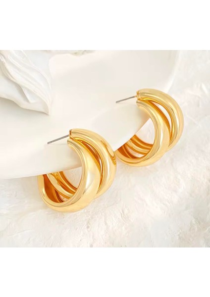 Çelik Mini 2 Halka Küpe fiyatları