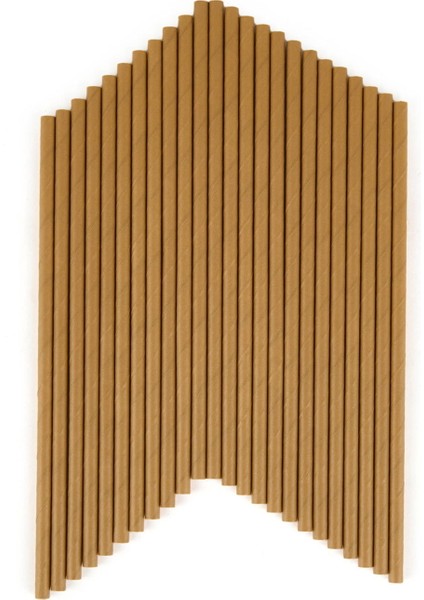 25'li Kağıt Pipet - Asorti - 20 cm fiyatları